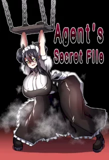 Agent’s Secret File