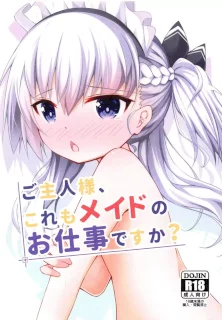 ご主人様、これもメイドのお仕事ですか?