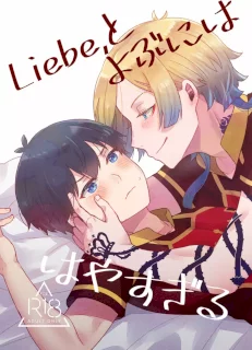 Liebe,とよぶにははやすぎる