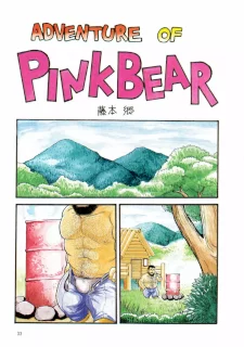 ADVENTURE OF PINK BEAR